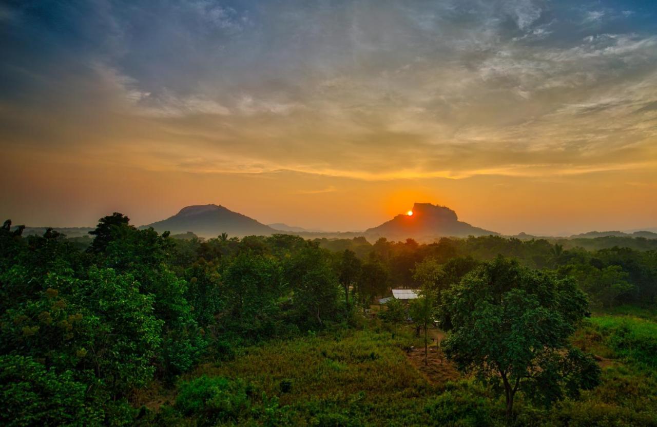 Choona 'view Of & Pidurangala With Sunrise' *